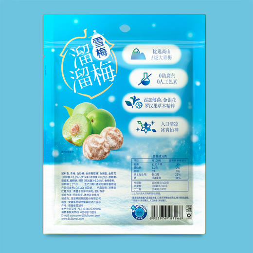 溜溜梅雪梅160g青梅话梅休闲零食乌梅酸梅 1件装 商品图6