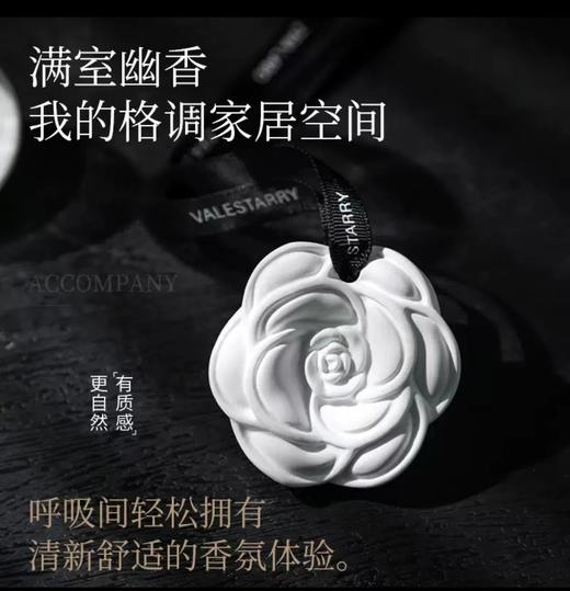 【积分兑换】EP衣橱香薰挂件DIY沙龙 商品图1