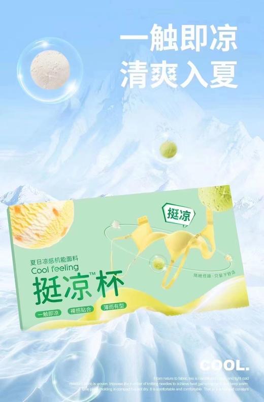 挺凉杯文胸乳胶垫两件一组199 商品图4