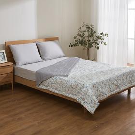 全棉印花薄被i-n 双人