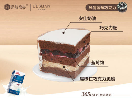 安佳动物奶油 蓝莓巧克力蛋糕 [6~8英寸 3~8人食用] 商品图1