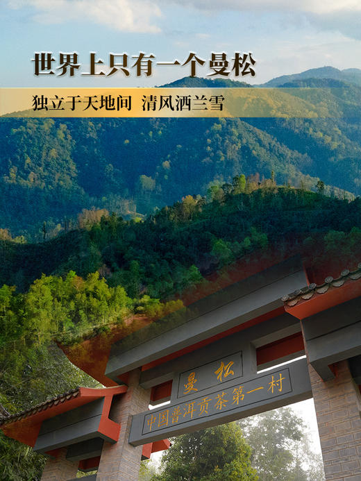 【曼松】2024年春茶仅选曼松大户24号茶农李学平王子山核心茶地向阳片区大古树，1200年，一喝难忘，一喝成瘾；真正皇家味道，尽显王者风范。357克/饼，5饼/提 拍5发6 商品图7