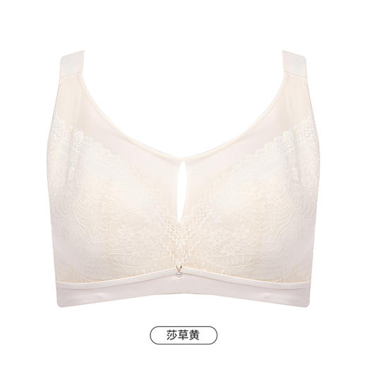 都市丽人完美包容大罩杯内衣女蕾丝文胸CDE杯适穿3/4杯超薄款速干软钢圈四排扣YB43J6 商品图9