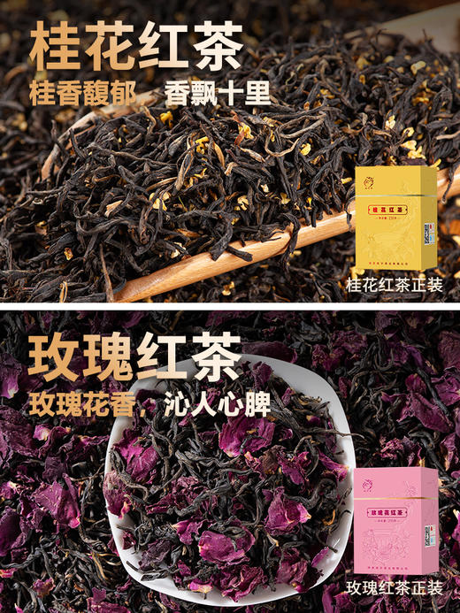 凤宁号 | 臻品茶集合12*4g（12泡） 商品图7