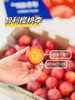 智利樱桃李，珍贵品种，每年季节超短，且货源稀缺，十分抢手，它是传统李子和樱桃的结合，既拥有浓郁的李子味，又拥有樱桃多汁，超级好吃！ 商品缩略图2