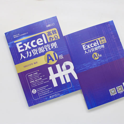 Excel高效办公：人力资源管理（AI版） HRGO学堂 编著 北京大学出版社 商品图3