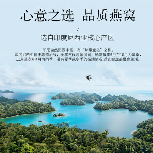 【正宗同仁堂品牌】北京同仁堂 印尼干燕窝(金标款) 50克送礼盒  可溯源真洁净 拒绝燕碎黏贴  盏型自然 SY 商品图6