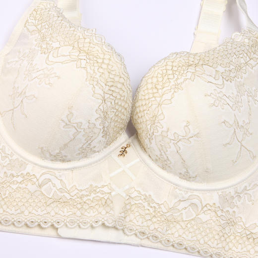都市丽人美体纤塑强塑调整型内衣女蕾丝塑身A杯3/4杯加厚文胸记忆钢圈五排扣LJ41B7 商品图5