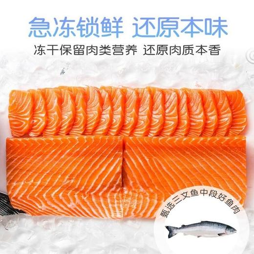 顽皮（Wanpy）猫粮冻干双拼粮全价全期猫咪主粮三文鱼鸡肉组合1.5kg 商品图4