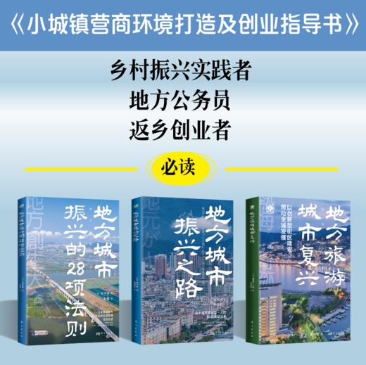 《小城镇营商环境打造及创业指导书》（乡村振兴实践者、地方公务员、返乡创业者必读） 商品图0