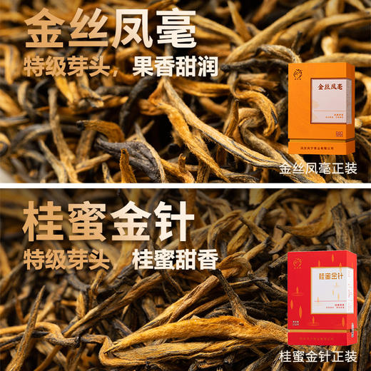 凤宁号 | 臻品茶集合12*4g（12泡） 商品图9