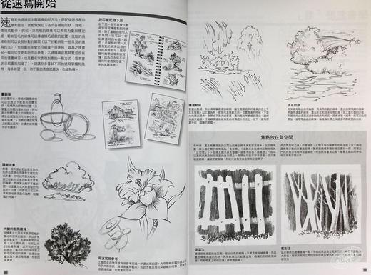 【中商原版】铅笔画新手的第一本书：3个步骤，81个范例，教你学会用铅笔画各种主题(2版) 港台艺术 华特·佛斯特等 商品图6