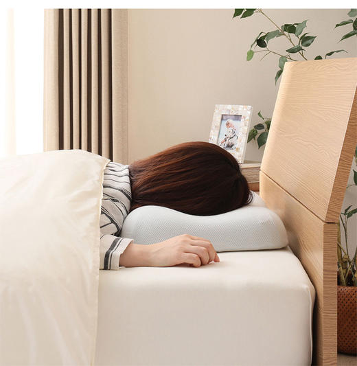 低反弹消臭功能枕 商品图1