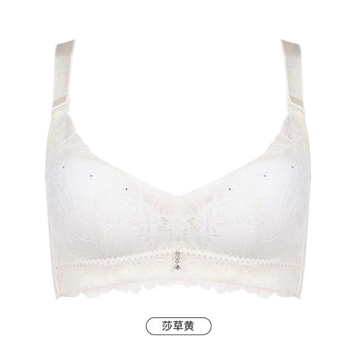 都市丽人舒软挺塑轻塑调整型内衣女蕾丝塑身A杯3/4杯A加厚B中厚文胸无钢圈四排扣LJ41A5 商品图12