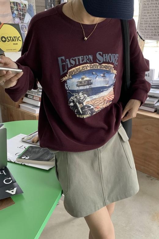 HAYES 美式复古印花卫衣 17312 商品图0