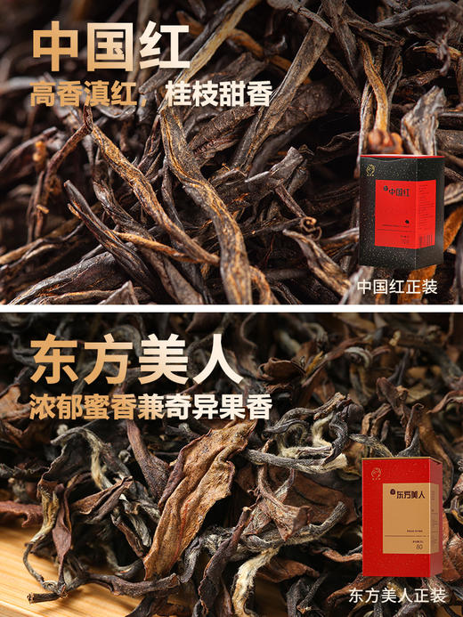凤宁号 | 臻品茶集合12*4g（12泡） 商品图4