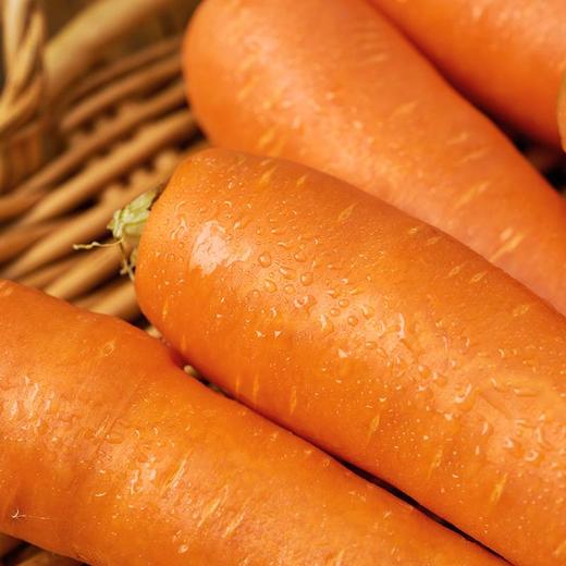 【HFS】小胡萝卜 500g/份 太平海农业 商品图4