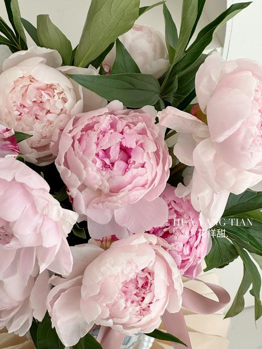 春光无限 · 芍药花瓶 商品图4