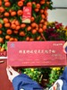 白云山星群牌破壁灵芝孢子粉买二送一 商品缩略图5