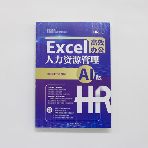 Excel高效办公：人力资源管理（AI版） HRGO学堂 编著 北京大学出版社 商品图2