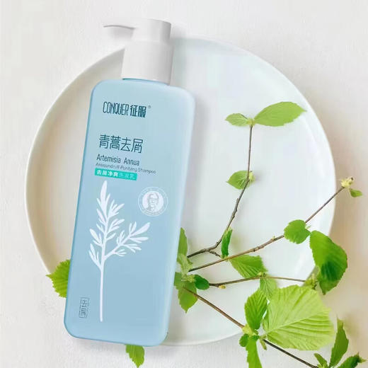 征服青蒿洗发水去屑净爽洗发乳除螨止痒控油生姜养发根防干枯洗发水 商品图4