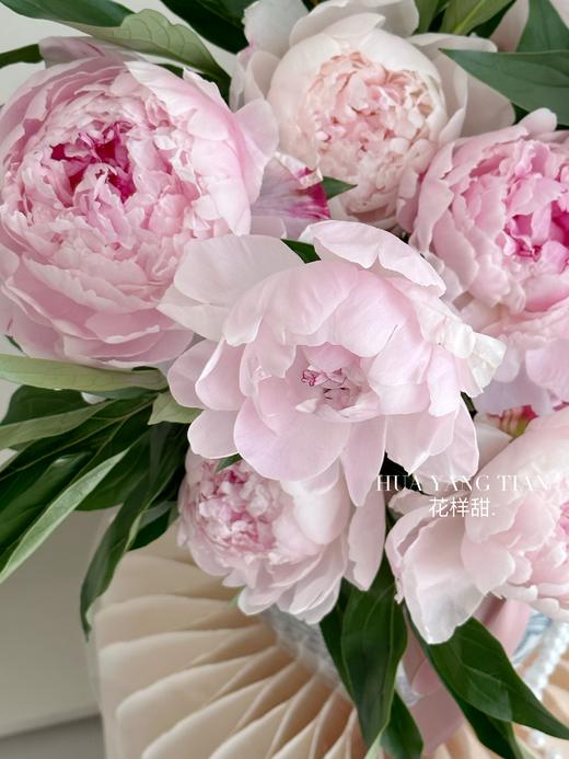 春光无限 · 芍药花瓶 商品图5