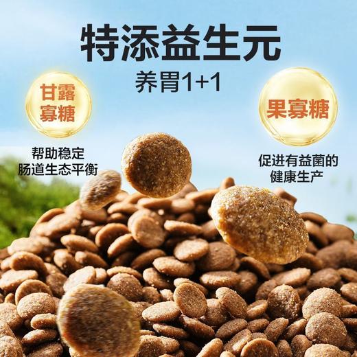网易严选4斤/20斤 全犬期全犬种通用型犬粮 商品图5