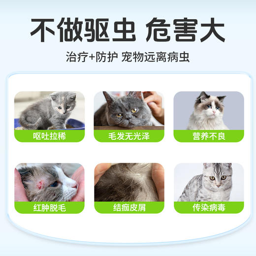 【爱沃克同效】巴士宠吡虫啉莫昔克丁3支装 体内外同驱虫 线下专供 乱价包退【5送2，10送5】 商品图3