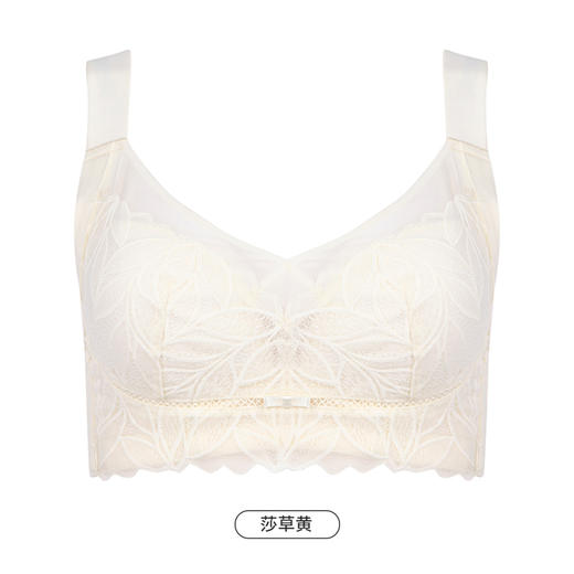 都市丽人美体纤塑中塑调整型内衣女蕾丝塑身B杯3/4杯薄款文胸软钢圈四排扣LJ42A6 商品图11