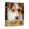 狗 汤姆·杰克逊 著 科普读物 商品缩略图0