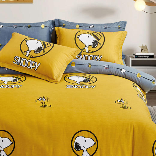 史努比·中纺鲁棉四件套（花型：奥兰多）SNJ02-2023B 商品图1