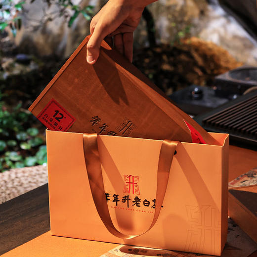 压箱底福鼎白茶头采12年+陈明前白毫银针特级老白茶收藏礼盒装茶叶 10泡装 商品图8