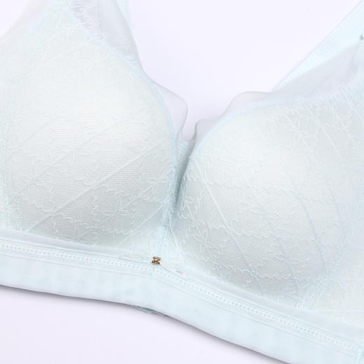 都市丽人舒软挺塑柔型杯轻塑塑身内衣女锁边AB杯适穿3/4杯A中厚B薄款文胸无钢圈四排扣LJ44B9 商品图5