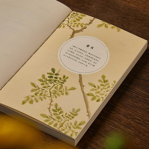 【送毛诗品物图画册】诗经三全本函套装，诗美、画美、装帧美，一套美出天际的诗经，值得珍藏！ 商品图2