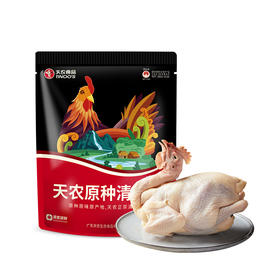 天农原种清远鸡800g 6优生态农场长天龄散养 种源纯正 皮薄肉滑 味道正宗