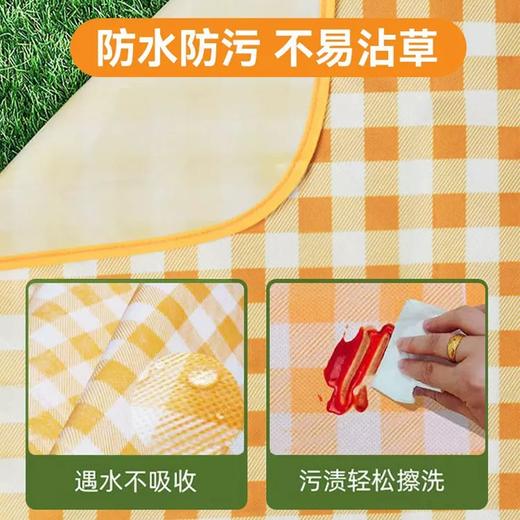 19.9元抢！【出游需备 多用野餐垫】户外露营便携加厚野餐垫+野餐盒 防潮地垫 沙滩坐垫 商品图2