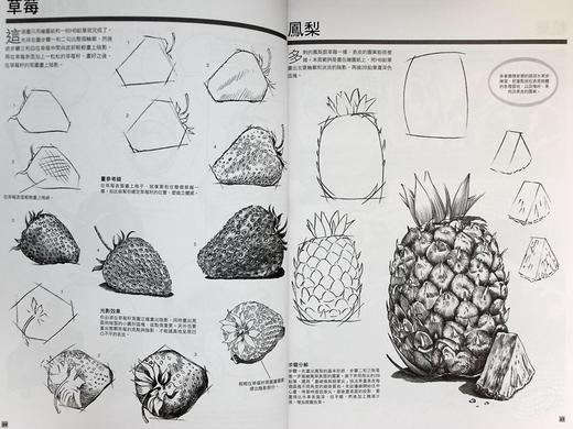 【中商原版】铅笔画新手的第一本书：3个步骤，81个范例，教你学会用铅笔画各种主题(2版) 港台艺术 华特·佛斯特等 商品图7