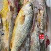 闹妈海鲜】[热气]舟山东极岛生态大黄鱼 9两-1斤之间/条 商品缩略图3