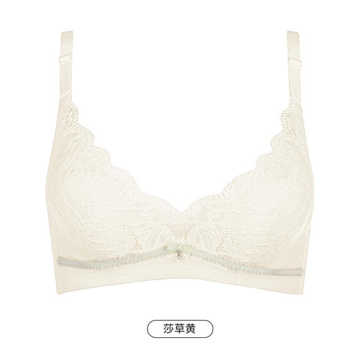都市丽人自然舒适内衣女蕾丝文胸B杯适穿3/4杯超薄款速干软钢圈三排扣LB43C2 商品图14