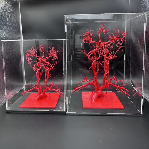 全新现货 专利产品【头颈血管模型】3.0版本重磅来袭 商品图4