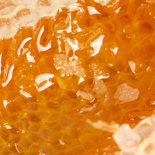 【限时特惠】蜂三宝蜜乳500g/瓶*4瓶土蜂蜜蜂王浆花粉营养丰富 商品图3