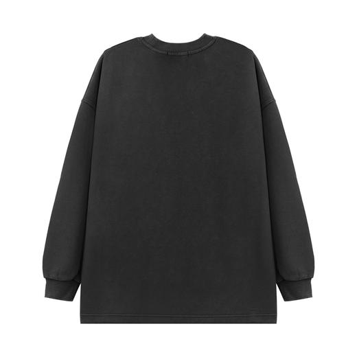 【新品上新】HX 春季圆领卫衣C106410015101/02 商品图3