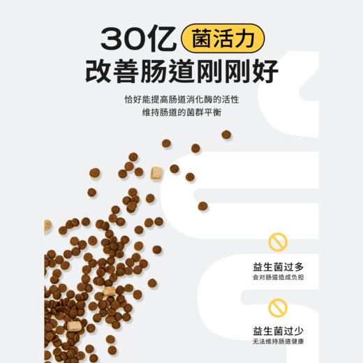 【2.0升级版】高爷家猫粮益生菌全价冻干猫粮调节肠道5kg 商品图4