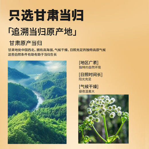 【正宗同仁堂品牌】北京同仁堂 当归片250克 甘肃高品质当归切片 拒绝熏硫SY 商品图2