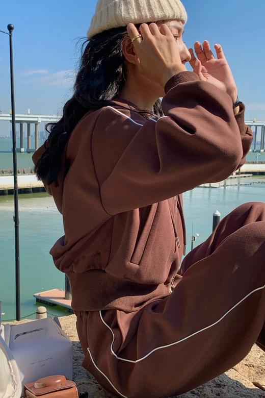 HAYES 复古棕色拉链连帽卫衣外套 17439 商品图2