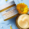 科颜氏(Kiehl’s)面霜 金盏花爆水霜50ml 精华水活霜 补水保湿 平衡水油 心选到家 商品缩略图1