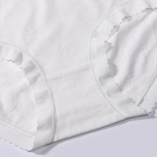 都市丽人基础系列舒肤棉内裤女棉提花纯棉女士内裤低腰平角内裤LK45A8 商品图7