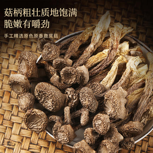 福东海 羊肚菌鹿茸菇姬松茸花菇黑松茸195克五拼礼盒  五宝养生组合滋补品送长辈见面礼礼品 商品图6