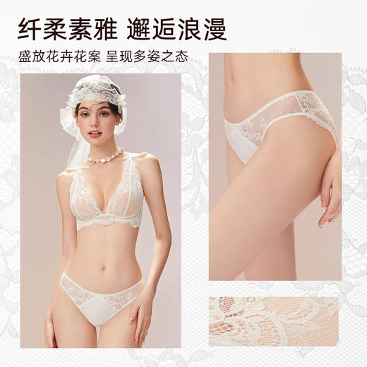 3条98元好奇蜜斯性感蕾丝内裤女士薄款低腰三角裤头纯棉裆新款-阿米娜、布瑞尔、凯蜜内裤 商品图1