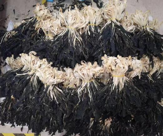 出口品质施甸脱水白菜干煲汤蔬菜干货 80g/150g/250g 商品图2